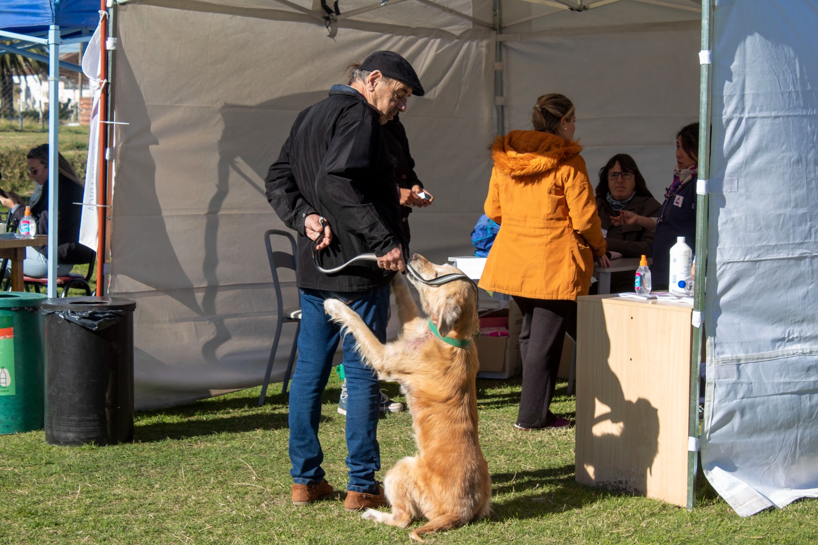 Día del Animal: se desarrolló la primera jornada de concientización y respeto