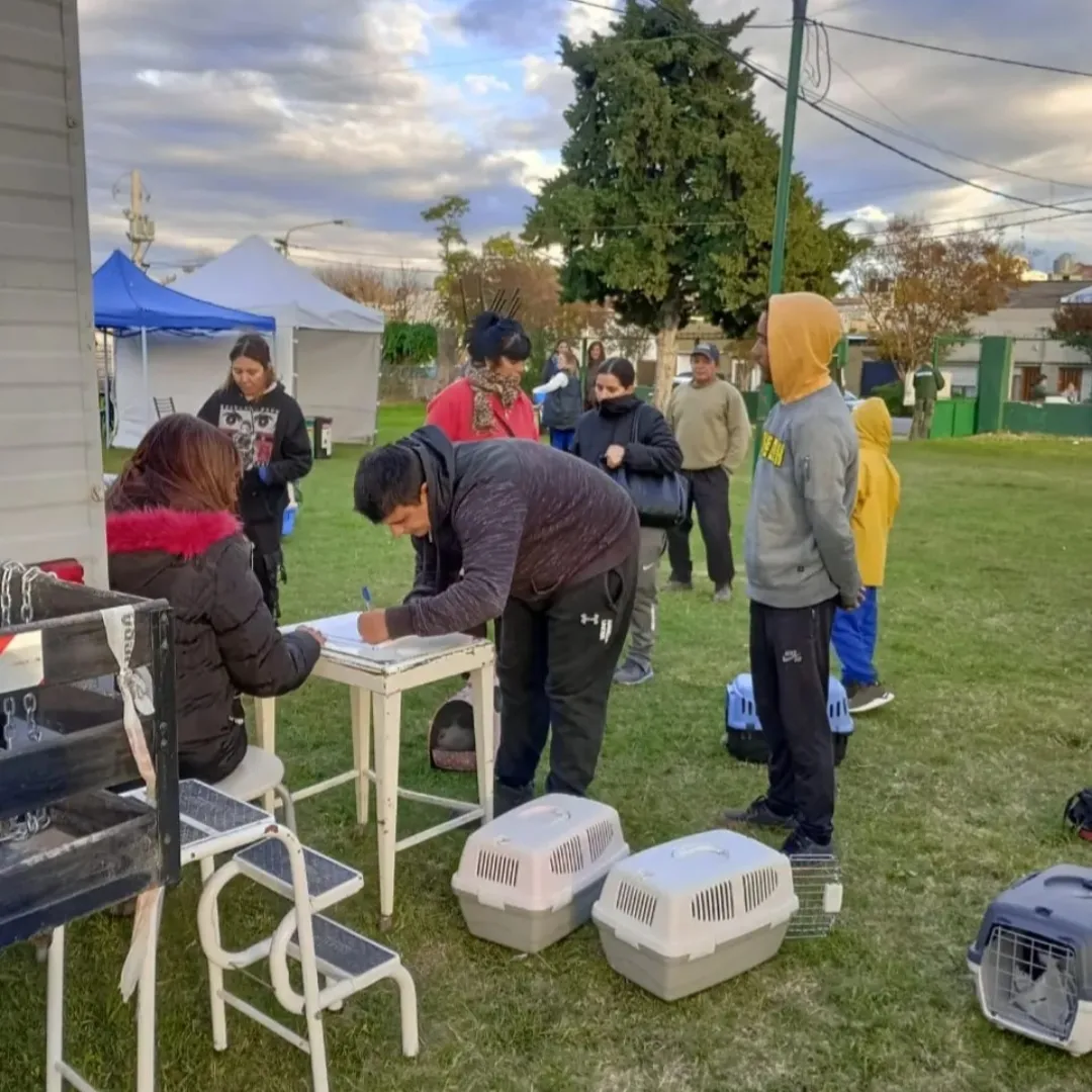 Se realizarán castraciones gratuitas en el Barrio La Boca de Tres Arroyos este jueves y viernes