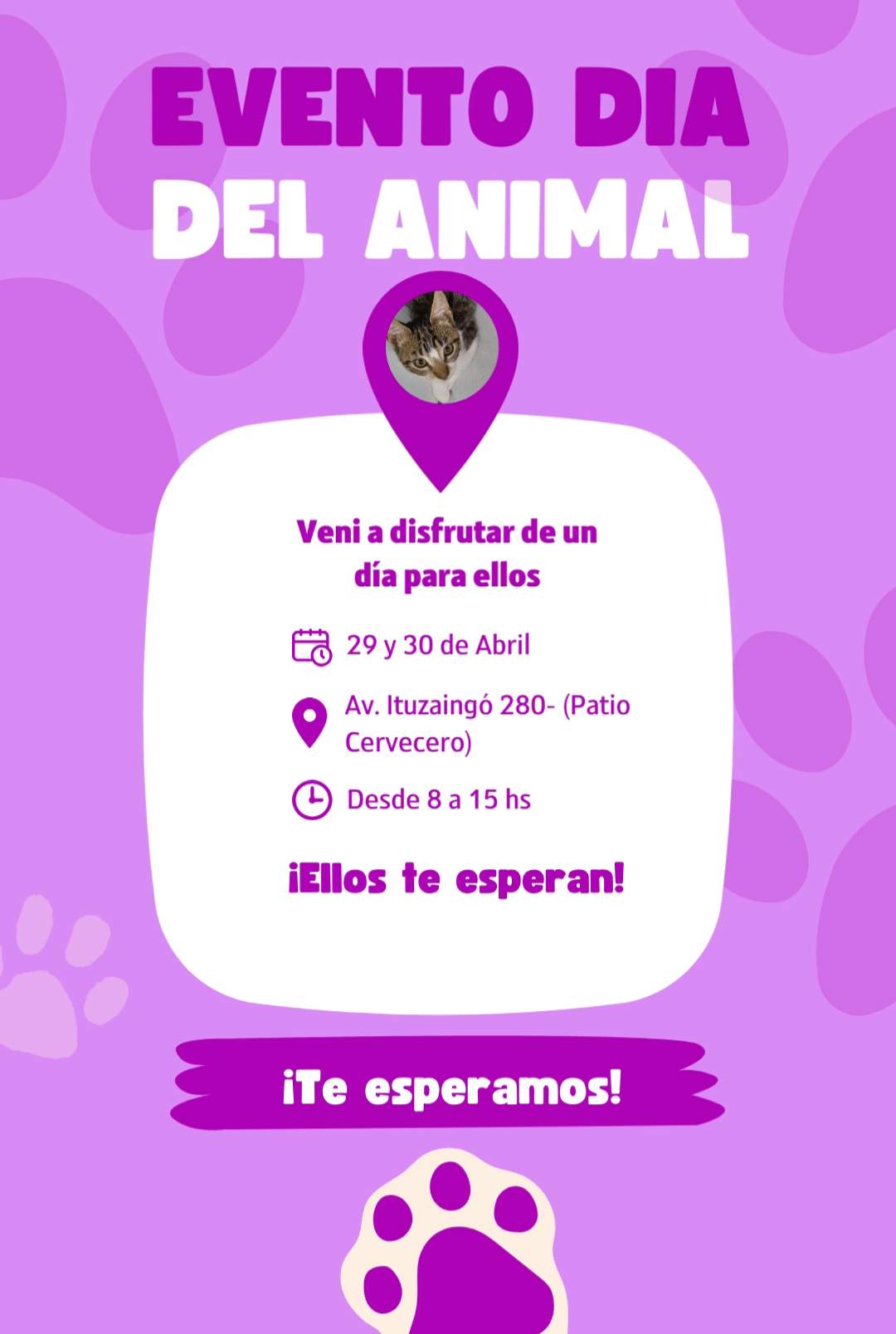 Día del Animal: el municipio organizará una actividad para este lunes y martes