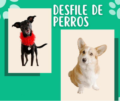 Desfile de perros y concurso de fotografía: cómo inscribirse y todos los detalles